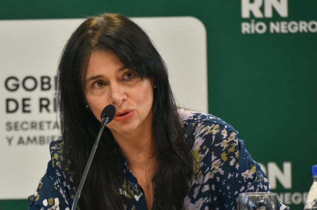 Río Negro proyecta un instituto para formar mano de obra local ante la demanda del GNL