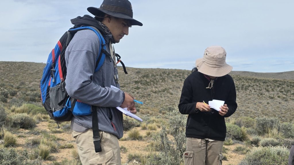 Formación en territorio: estudiantes de Geología fortalecen el vínculo entre universidad y minería