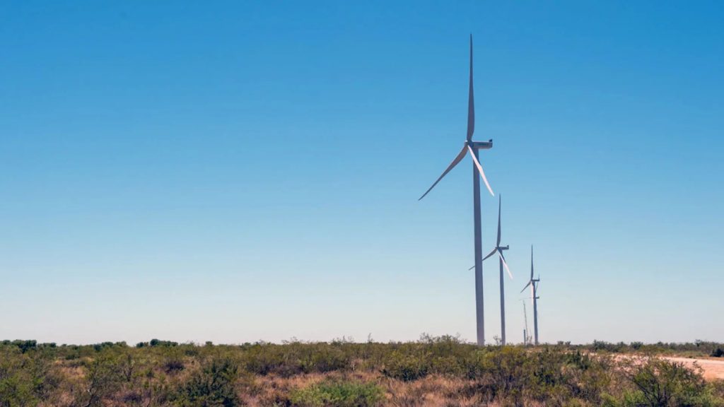 Cerro Policía: un parque eólico de 300 MW que impulsa la transición energética en Río Negro