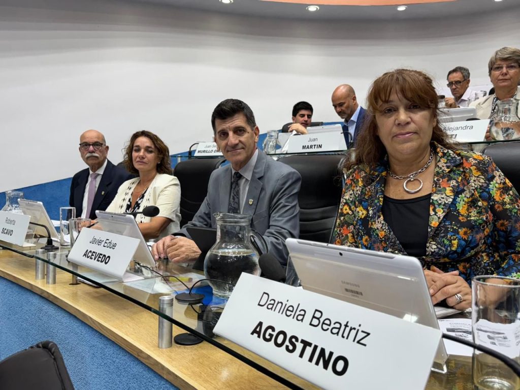 CC ARI-Cambiemos votó a favor de Argentina LNG y defendió el RIGI como “la condición” para atraer inversiones a Río Negro