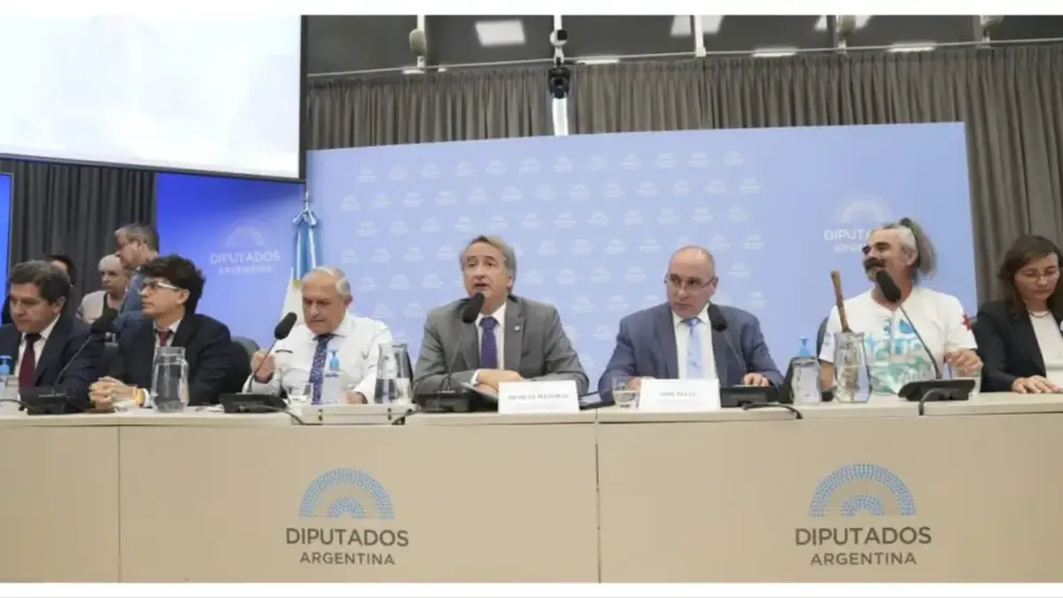 La reforma de la Ley de Glaciares se enfría en Diputados y abre otra vez la disputa entre producción y ambiente